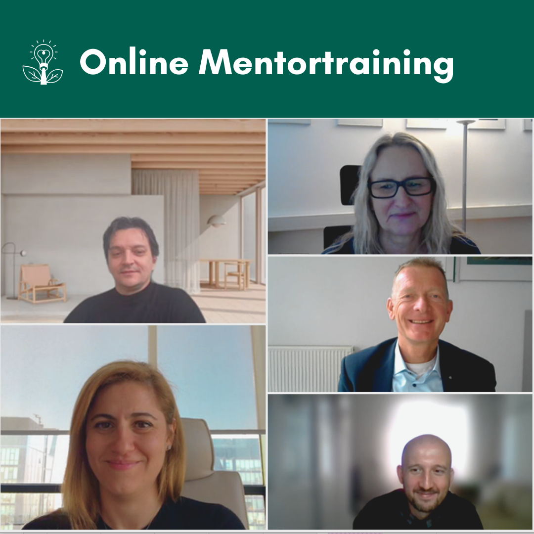 Online Mentor Training at Hödlmayr